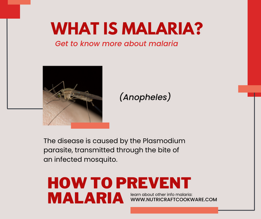 World Malaria Day