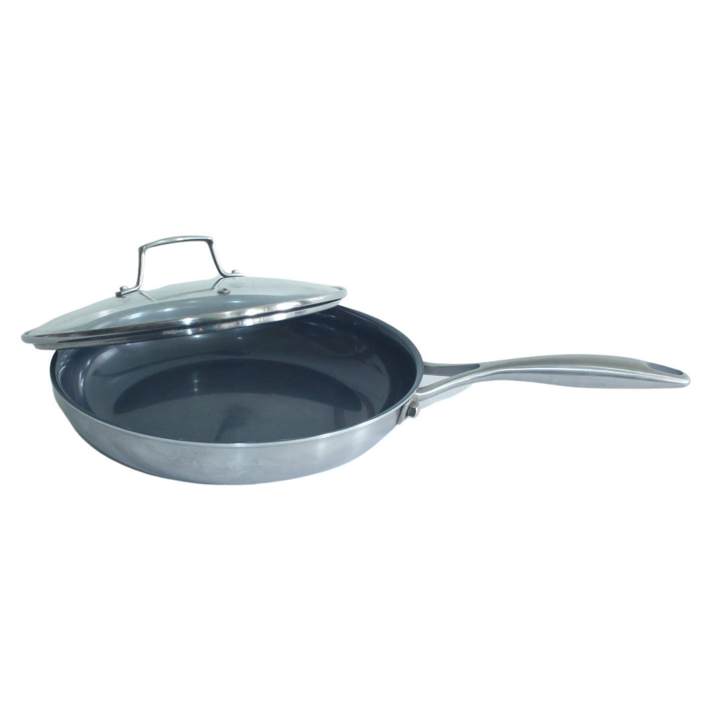 11" Pure Titanium Ply Black Series Skillet (28cm x 6cm)